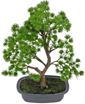 De Kunstplant Bonsai Juniper 30 cm heeft dicht heldergroen blad en een gedraaide stam, in een ondiepe grijze pot met donkere aarde, tegen een effen witte achtergrond.