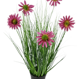 De Kunst Grasplant Chrysant 60 cm brandvertragend heeft lange, dunne groene grasachtige bladeren en zes roze chrysantenbloemen met een geel hart in een zwarte pot, tegen een effen witte achtergrond.