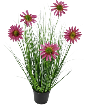 De Kunst Grasplant Chrysant 60 cm brandvertragend heeft lange, dunne groene grasachtige bladeren en zes roze chrysantenbloemen met een geel hart in een zwarte pot, tegen een effen witte achtergrond.