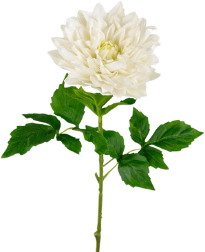 Een Kunst Georgine Real Touch wit 70cm heeft een levensechte enkele witte dahlia met gelaagde bloemblaadjes en groen gekartelde bladeren op een lange steel, tegen een effen witte achtergrond.