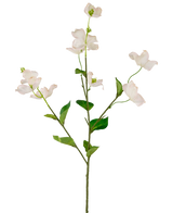 Een enkele Kunst kornoelje Real Touch Wit/roze 74cm heeft lichtroze-witte kunstbloemen van kornoelje en groene bladeren op een lange, slanke steel, tegen een witte achtergrond.