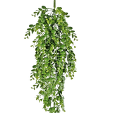 De Kunst hangplant Pannenkoek 61 cm heeft levendige groene kunstbladeren die naar beneden vallen tegen een effen witte achtergrond en lijkt op een echte hangende wingerd.