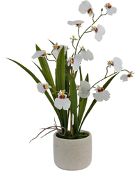 Kunst Oncidium Real Touch 48 cm wit