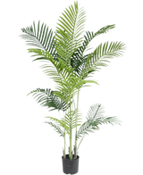 De Kunstplant Phoenix 160 cm is een hoge nepplant met slanke groene bladeren op meerdere stelen in een kleine zwarte pot, tegen een witte achtergrond voor een luxe uitstraling - perfect voor liefhebbers van tropische planten.
