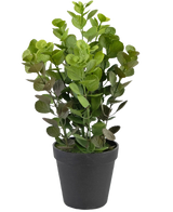 De Kunstplant Vicks 33 cm is een groenbladige kunstplant met ronde bladeren in een eenvoudige zwarte pot, tegen een effen witte achtergrond.