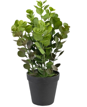 De Kunstplant Vicks 33 cm is een groenbladige kunstplant met ronde bladeren in een eenvoudige zwarte pot, tegen een effen witte achtergrond.