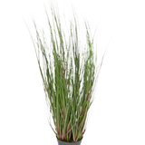 De Kunst Grasplant Onion 60 cm brandvertragend is een siergras in pot met lange, dunne groene sprieten en enkele roodachtige stengels, tegen een effen witte achtergrond.