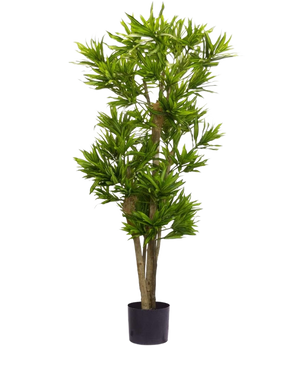 De Kunstplant Dracena Reflexa 150 cm is een hoge kunstplant met meerdere dunne stammen en trossen lange, slanke groene bladeren in een kleine zwarte pot, tegen een effen witte achtergrond.