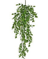 De Kunst hangplant Jasmin 70 cm heeft dichte trossen kleine groene blaadjes die op natuurlijke wijze naar beneden vallen en een weelderig, draperend effect creëren tegen een witte achtergrond.