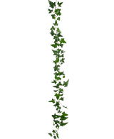 De Kunst hangplant Klimop Boston Slinger 180 cm groen heeft een lange groene klimoprank met meerdere bladeren, verticaal hangend tegen een effen witte achtergrond.