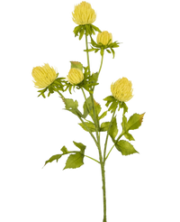 Kunstbloem Distel 66 cm crème