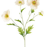 Een botanische illustratie van de Kunst Klaproos Real Touch Crème/geel 65cm toont een groene steel met delicate crème en gele klaproosbloemen en weelderige groene bladeren tegen een effen lichte achtergrond.