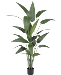 Kunstplant Heliconia 160 cm