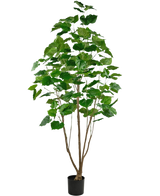 De Kunstplant Ficus 210 cm is een hoge kamerplant in pot met meerdere slanke bruine stengels en weelderige grote groene bladeren, tegen een effen witte achtergrond.