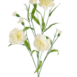 De Kunstbloem Anjer tros 70 cm wit heeft een steel met meerdere witte anjerbloemen en groene bladeren tegen een effen witte achtergrond.