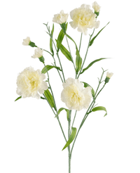 Kunstbloem Anjer tros 70 cm wit
