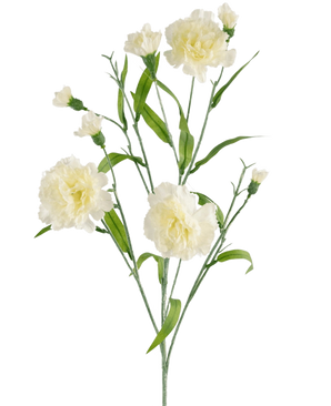 De Kunstbloem Anjer tros 70 cm wit heeft een steel met meerdere witte anjerbloemen en groene bladeren tegen een effen witte achtergrond.