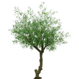 De Kunst Olijfboom met olijven 270 cm heeft een gedraaide stam en dichte groene bladeren, en staat in een kleine vierkante bruine pot tegen een witte achtergrond.