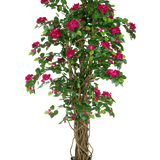 De Kunstplant Bougainvillea Liana Fuchsia 115 cm heeft weelderige groene bladeren en levendige fuchsia bloemen op ineengestrengelde stelen in een zwarte plantenbak, die een mediterrane sfeer toevoegt aan elke ruimte tegen een witte achtergrond.