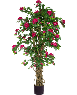 De Kunstplant Bougainvillea Liana Fuchsia 115 cm heeft weelderige groene bladeren en levendige fuchsia bloemen op ineengestrengelde stelen in een zwarte plantenbak, die een mediterrane sfeer toevoegt aan elke ruimte tegen een witte achtergrond.