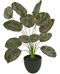 Kunst Calathea 58 cm groen/rood