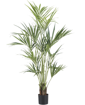 De Kunstplant Kentia Palm 190 cm brandvertragend heeft lange, slanke groene bladeren en meerdere dunne stelen in een eenvoudige zwarte pot, tegen een effen witte achtergrond.
