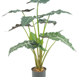 De Kunstplant Alocasia UV 67 cm is een kunstpotplant met grote, donkergroene, pijlvormige bladeren en opvallende witte nerven, afgebeeld tegen een effen witte achtergrond.