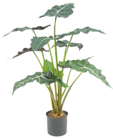De Kunstplant Alocasia UV 67 cm is een kunstpotplant met grote, donkergroene, pijlvormige bladeren en opvallende witte nerven, afgebeeld tegen een effen witte achtergrond.