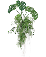 De Kunst hangplant Monstera/Varen bal 100 cm XL heeft weelderige groene monsterabladeren en varens met lange, slepende ranken en wortels, perfect om groen toe te voegen aan elke ruimte tegen een witte achtergrond.