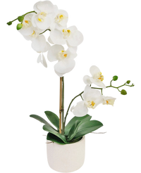 Kunst Orchidee Real Touch 60 cm wit