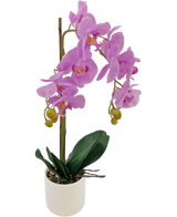 De Kunst Orchidee 52 cm lila in witte pot heeft levendige lila bloemen, groene knoppen en brede donkergroene bladeren, gerangschikt in een stijlvolle witte pot tegen een effen witte achtergrond.