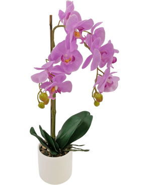 De Kunst Orchidee 52 cm lila in witte pot heeft levendige lila bloemen, groene knoppen en brede donkergroene bladeren, gerangschikt in een stijlvolle witte pot tegen een effen witte achtergrond.