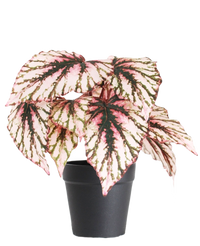 Kunst Begonia in pot paars UV 25 cm