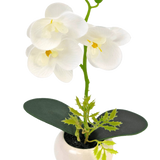 De Kunst Orchidee 28 cm wit in pot heeft drie grote witte bloesems en twee groene bladeren in een kleine witte pot, tegen een effen achtergrond.