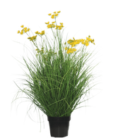 De Kunst Grasplant Asteraceae 90 cm brandvertragend heeft lange, slanke grasachtige bladeren en trossen kleine, heldergele bloemen op lange stelen, tegen een effen witte achtergrond.