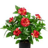 Kunstplant Gardenia 39 cm fuchsia