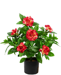 Kunstplant Gardenia UV 39 cm fuchsia
