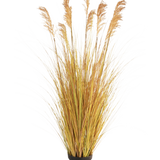 De Kunst Grasplant Sorghum 150 cm brandvertragend heeft lange geelgroene sprieten en hoge bruine pluimen, waardoor het een perfecte keuze is voor interieurdecoratie tegen een witte achtergrond.