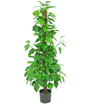 De Kunstplant Pothos 150 cm is een hoge kunstplant met glanzend groene bladeren op een centrale bruine stengel, in een kleine zwarte pot tegen een effen witte achtergrond.