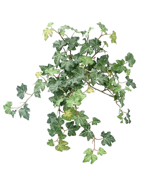 De Kunst Klimop Deluxe Groen 40cm heeft een cluster van levendige groene klimopbladeren met slingerende wijnranken tegen een effen witte achtergrond.