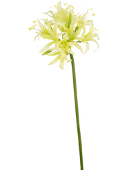 Kunstbloem Nerine 70 cm groen
