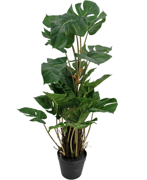 De Kunstplant Monstera 90 cm is een kunstplant met grote, glanzend groene bladeren met natuurlijke splitten, rechtop in een zwarte pot tegen een effen witte achtergrond.