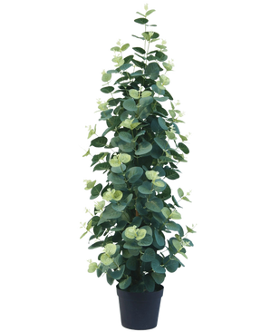 De Kunstplant Eucalyptus 76 cm is een hoge, weelderige kunstmatige eucalyptusplant met ronde groene bladeren in een zwarte pot, tegen een effen witte achtergrond.
