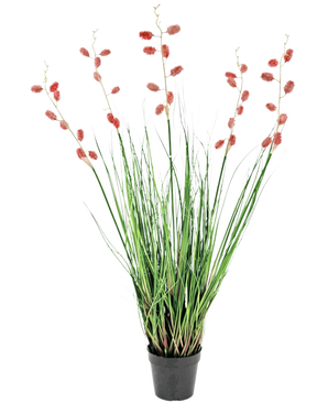 Een brandvertragende Kunst Grasplant Duizendpootgras van 100 cm met lange, dunne groene bladeren en hoge stengels met roze-rode pluimen, gepresenteerd tegen een witte achtergrond.
