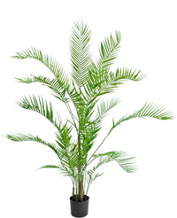 Kunstplant Chamaedorea 150 cm