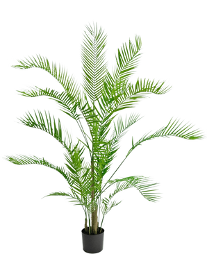 De Kunstplant Chamaedorea 150 cm is een hoge palm in pot met lange, overhangende groene bladeren en slanke stelen, tegen een effen witte achtergrond.