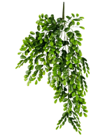 De Kunst hangplant Pumila 86 cm is een realistische kunsttak met meerdere stelen van kleine, heldergroene ovale bladeren, die weelderig en trapsgewijs lijken op een effen witte achtergrond.