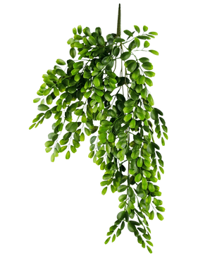 De Kunst hangplant Pumila 86 cm is een realistische kunsttak met meerdere stelen van kleine, heldergroene ovale bladeren, die weelderig en trapsgewijs lijken op een effen witte achtergrond.