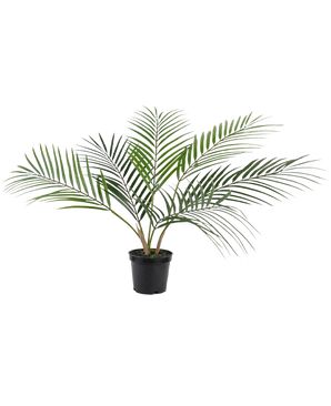 De Kunstpalm Chamaedorea 48 cm heeft lange, slanke groene bladeren die zich naar buiten spreiden en wordt geleverd in een eenvoudige zwarte plastic pot tegen een effen witte achtergrond.