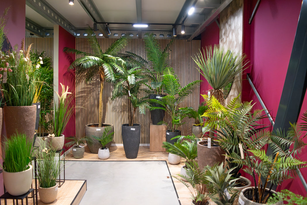 Onze Showroom